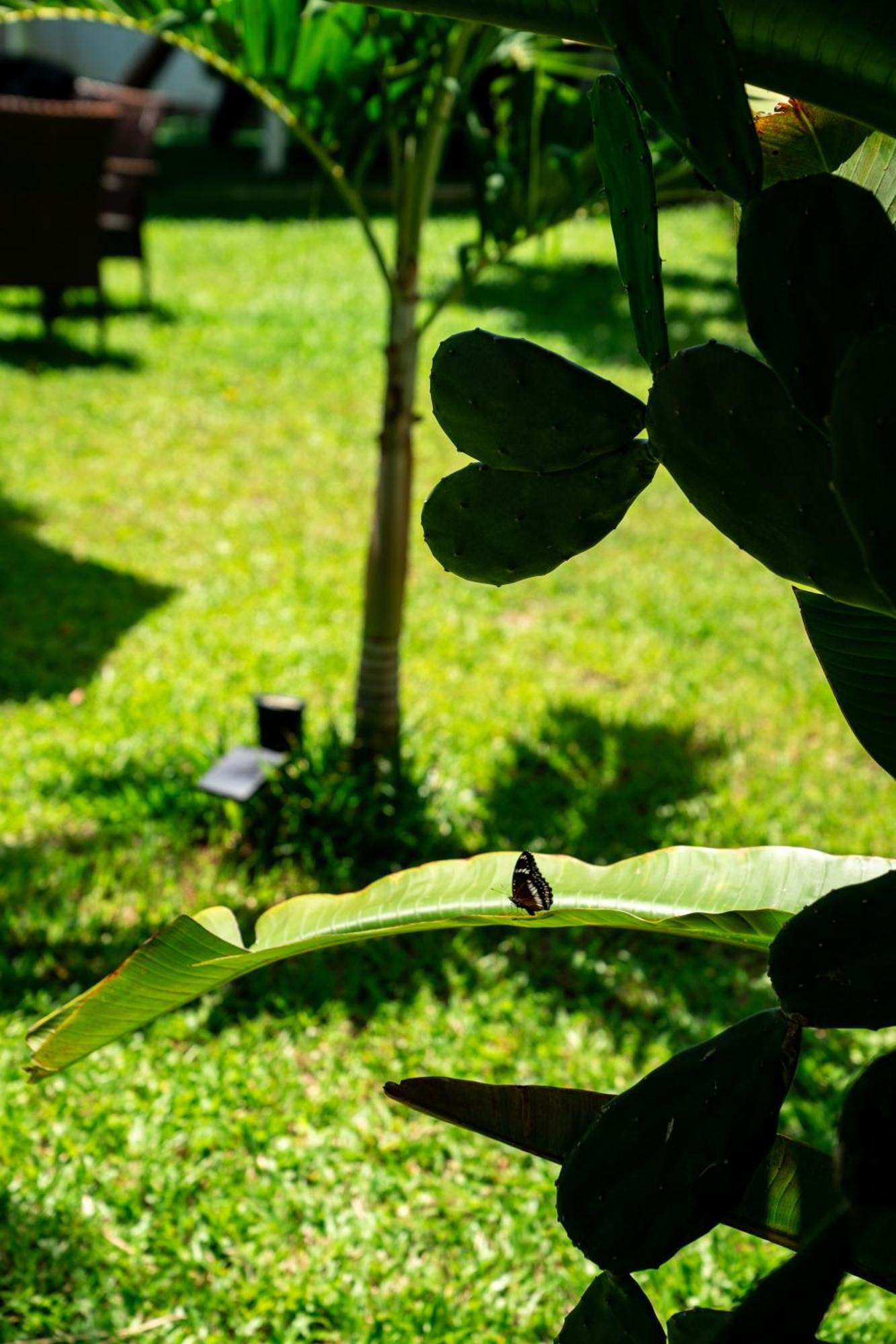 Koh Samui Resort & Restaurant Taling Ngam  Ngoại thất bức ảnh